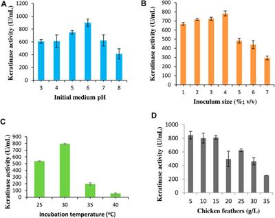 Chryseobacterium aquifrigidense FANN1 Produced Detergent-Stable Metallokeratinase and Amino Acids Through the Abasement of Chicken Feathers